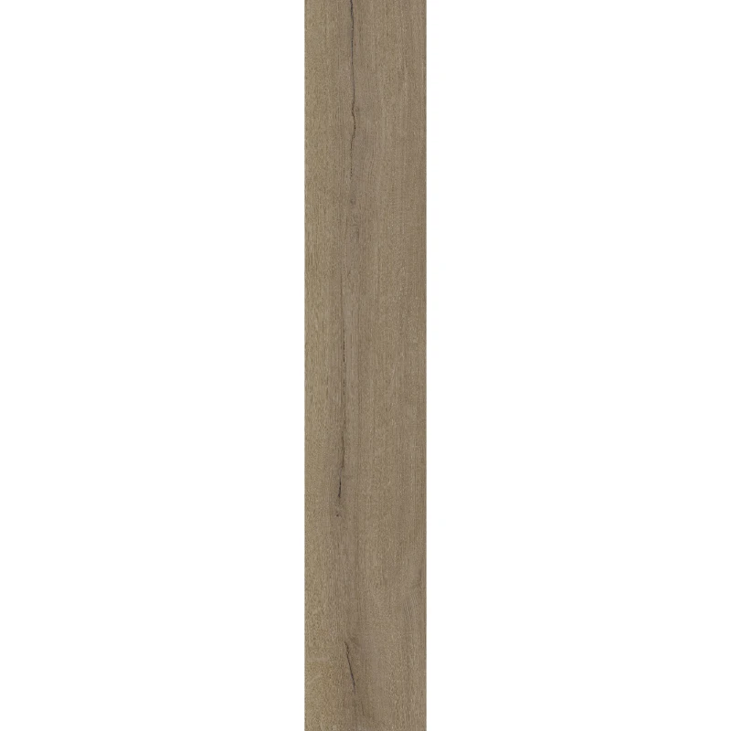 E31 Е31