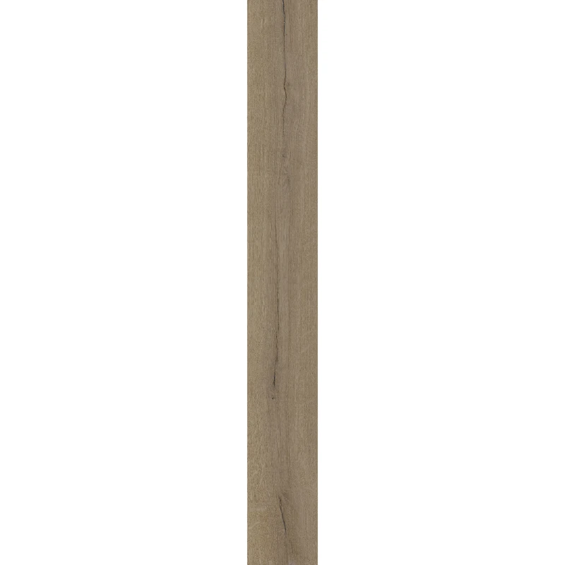 Е21